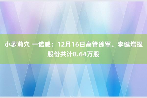 小萝莉穴 一诺威：12月16日高管徐军、李健增捏股份共计8.64万股