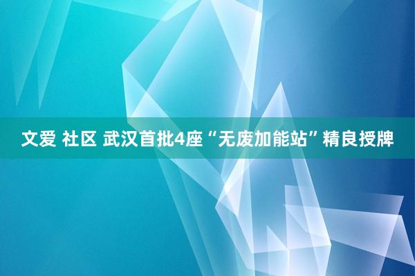 文爱 社区 武汉首批4座“无废加能站”精良授牌