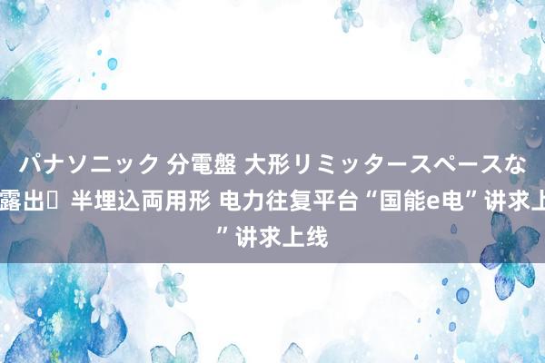 パナソニック 分電盤 大形リミッタースペースなし 露出・半埋込両用形 电力往复平台“国能e电”讲求上线