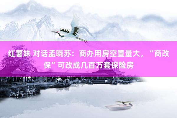 红薯妹 对话孟晓苏：商办用房空置量大，“商改保”可改成几百万套保险房