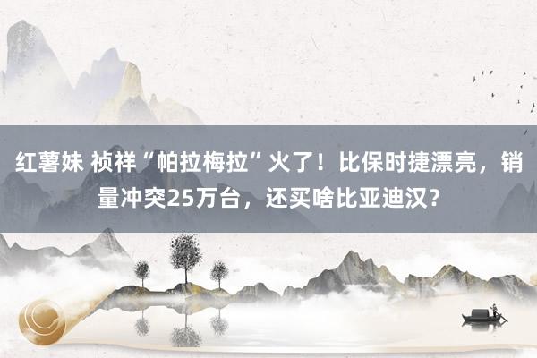 红薯妹 祯祥“帕拉梅拉”火了！比保时捷漂亮，销量冲突25万台，还买啥比亚迪汉？