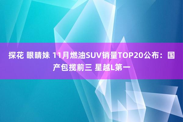 探花 眼睛妹 11月燃油SUV销量TOP20公布：国产包揽前三 星越L第一