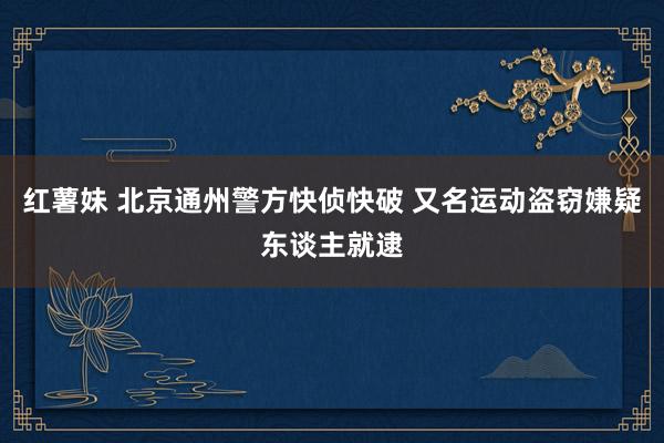 红薯妹 北京通州警方快侦快破 又名运动盗窃嫌疑东谈主就逮