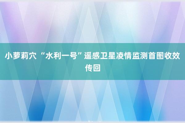 小萝莉穴 “水利一号”遥感卫星凌情监测首图收效传回