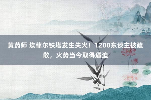 黄药师 埃菲尔铁塔发生失火！1200东谈主被疏散，火势当今取得逼迫