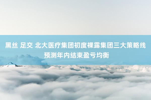 黑丝 足交 北大医疗集团初度裸露集团三大策略线 预测年内结束盈亏均衡