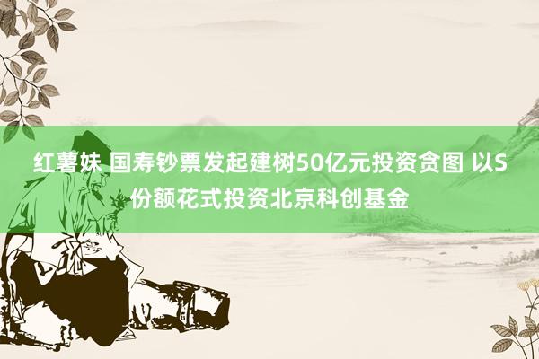 红薯妹 国寿钞票发起建树50亿元投资贪图 以S份额花式投资北京科创基金