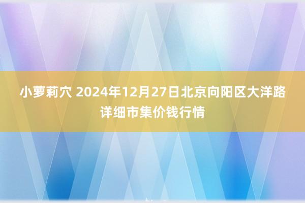 小萝莉穴 2024年12月27日北京向阳区大洋路详细市集价钱行情