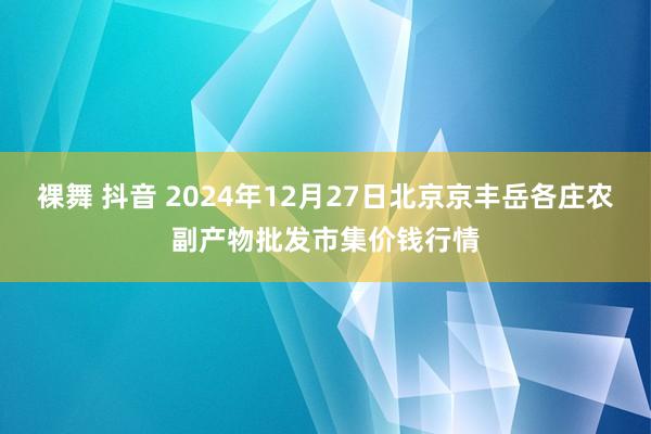 裸舞 抖音 2024年12月27日北京京丰岳各庄农副产物批发市集价钱行情