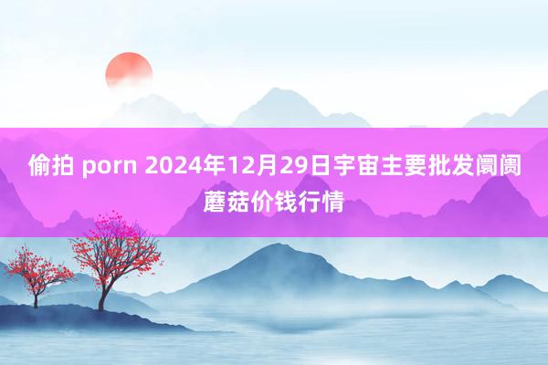 偷拍 porn 2024年12月29日宇宙主要批发阛阓蘑菇价钱行情