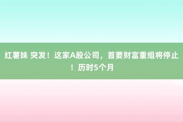 红薯妹 突发！这家A股公司，首要财富重组将停止！历时5个月