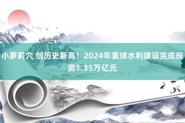 小萝莉穴 创历史新高！2024年寰球水利建设完成投资1.35万亿元