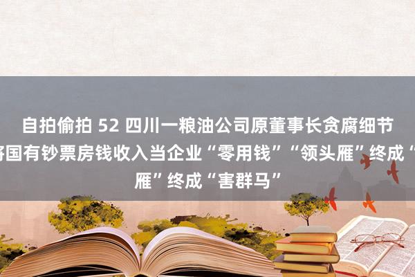 自拍偷拍 52 四川一粮油公司原董事长贪腐细节透露：将国有钞票房钱收入当企业“零用钱”“领头雁”终成“害群马”