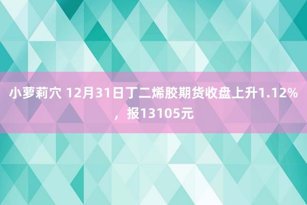 小萝莉穴 12月31日丁二烯胶期货收盘上升1.12%，报13105元