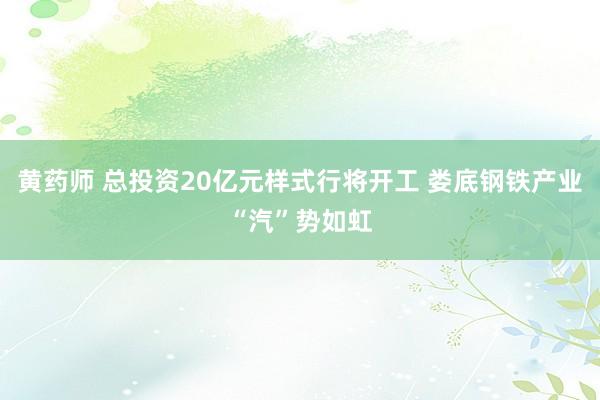 黄药师 总投资20亿元样式行将开工 娄底钢铁产业“汽”势如虹