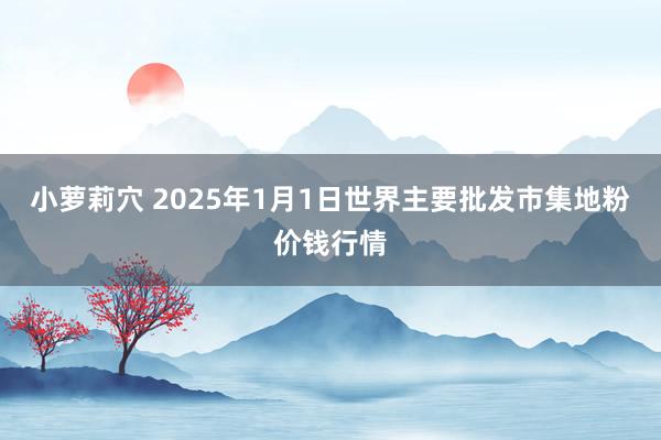 小萝莉穴 2025年1月1日世界主要批发市集地粉价钱行情