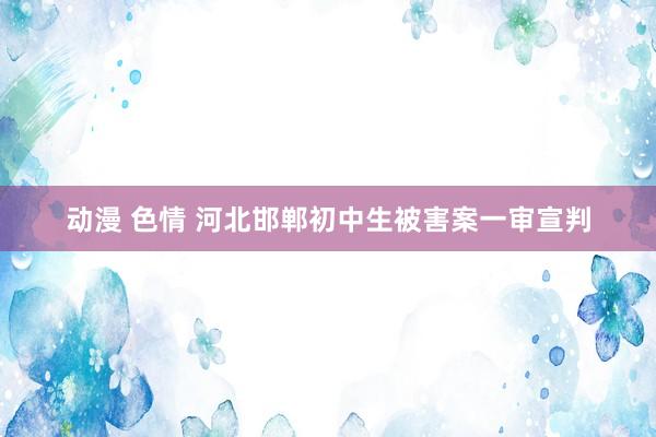 动漫 色情 河北邯郸初中生被害案一审宣判