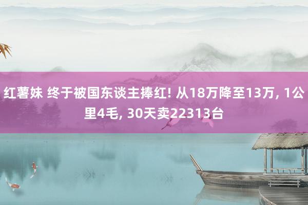 红薯妹 终于被国东谈主捧红! 从18万降至13万， 1公里4毛， 30天卖22313台