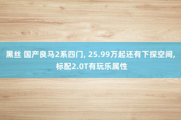 黑丝 国产良马2系四门， 25.99万起还有下探空间， 标配2.0T有玩乐属性