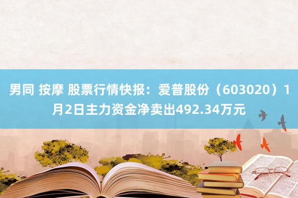 男同 按摩 股票行情快报：爱普股份（603020）1月2日主力资金净卖出492.34万元