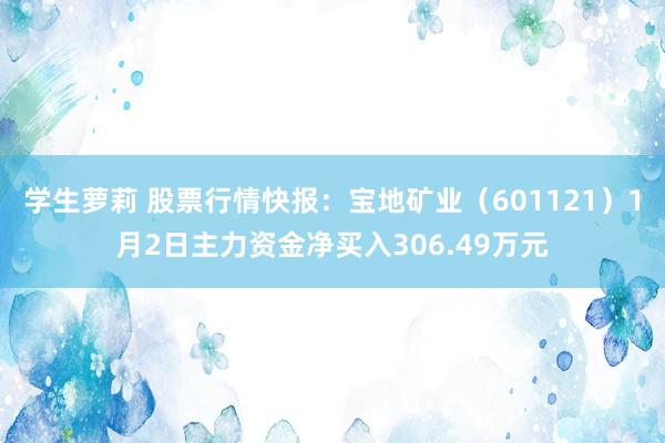 学生萝莉 股票行情快报：宝地矿业（601121）1月2日主力资金净买入306.49万元