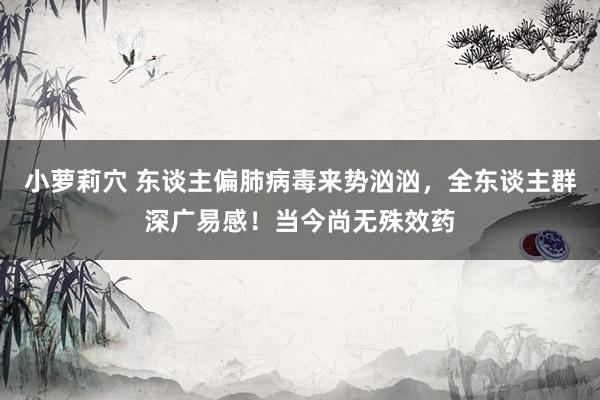 小萝莉穴 东谈主偏肺病毒来势汹汹，全东谈主群深广易感！当今尚无殊效药