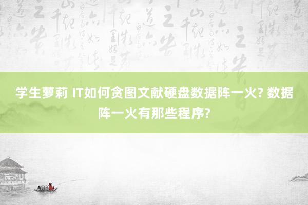 学生萝莉 IT如何贪图文献硬盘数据阵一火? 数据阵一火有那些程序?