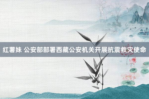 红薯妹 公安部部署西藏公安机关开展抗震救灾使命