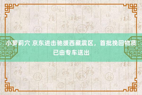 小萝莉穴 京东进击驰援西藏震区，首批挽回物质已由专车送出