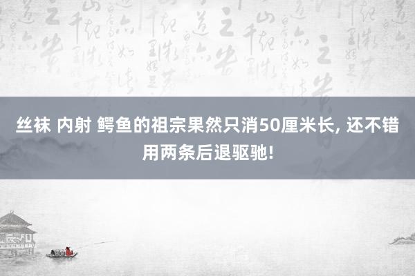 丝袜 内射 鳄鱼的祖宗果然只消50厘米长， 还不错用两条后退驱驰!