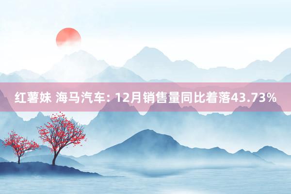 红薯妹 海马汽车: 12月销售量同比着落43.73%