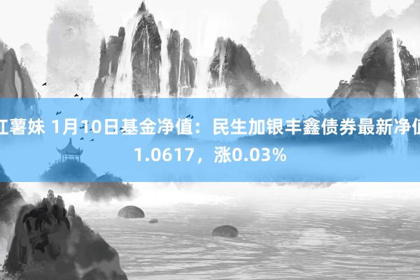 红薯妹 1月10日基金净值：民生加银丰鑫债券最新净值1.0617，涨0.03%