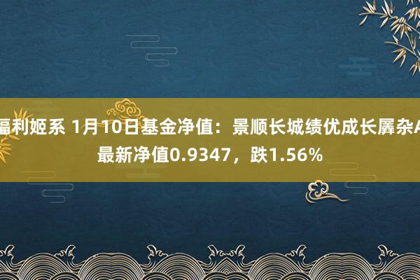 福利姬系 1月10日基金净值：景顺长城绩优成长羼杂A最新净值0.9347，跌1.56%