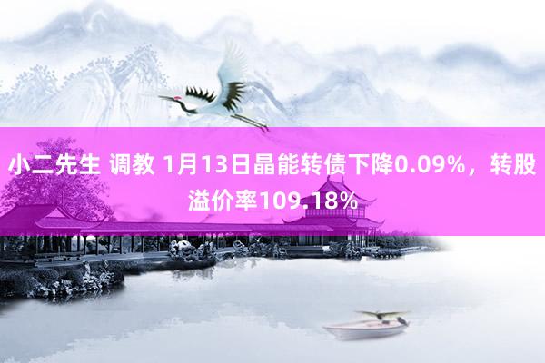 小二先生 调教 1月13日晶能转债下降0.09%，转股溢价率109.18%