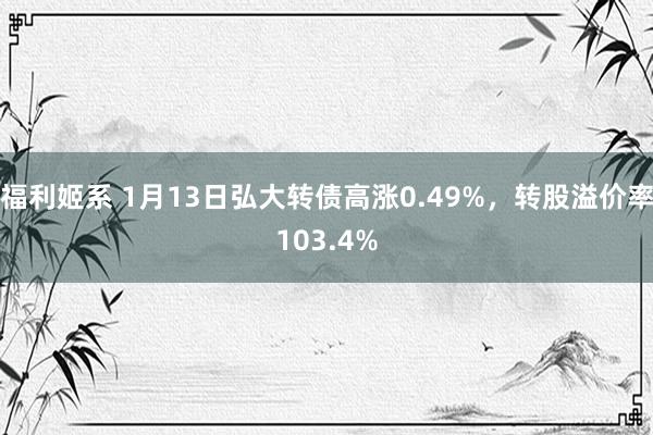 福利姬系 1月13日弘大转债高涨0.49%，转股溢价率103.4%