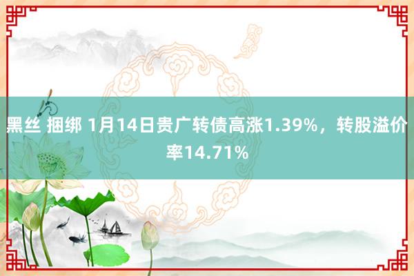 黑丝 捆绑 1月14日贵广转债高涨1.39%，转股溢价率14.71%