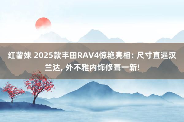 红薯妹 2025款丰田RAV4惊艳亮相: 尺寸直逼汉兰达， 外不雅内饰修葺一新!