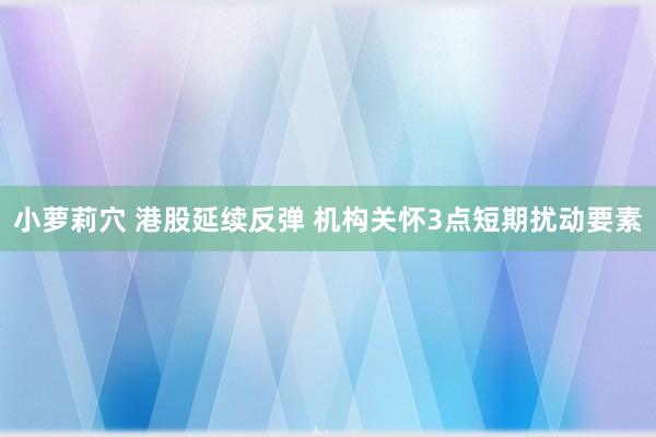 小萝莉穴 港股延续反弹 机构关怀3点短期扰动要素